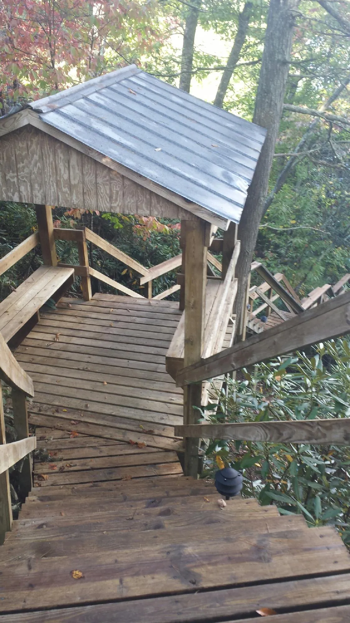 Metal roofed shelter over wooden steps on a wooded walkway — Skylight Repair & Installation work by our crew in Frankenmuth